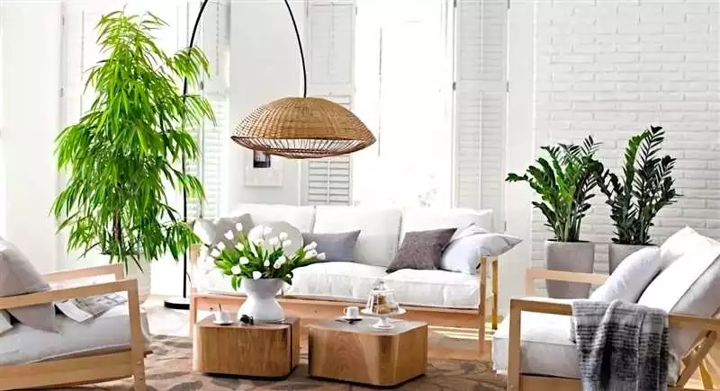 Комнатные цветы как выбрать и ухаживать за растениями в дизайне квартиры